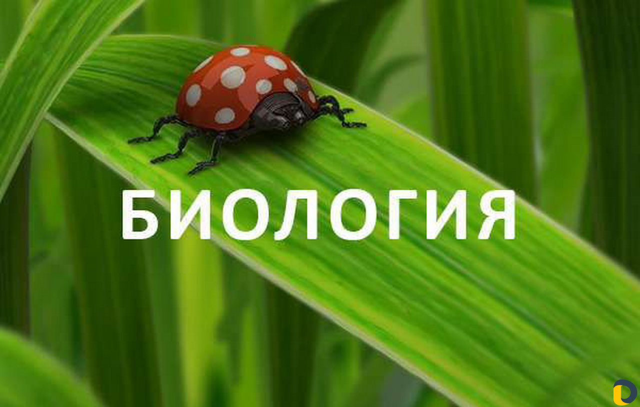 Репетитор по химии и биологии