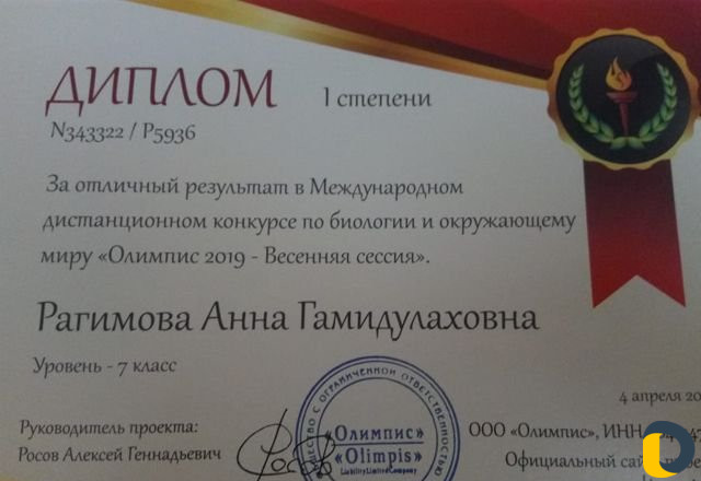 Репетитор по математике (алгебре и геометрии) и ин