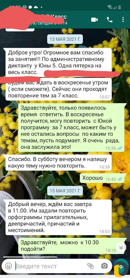 Репетитор по русскому языку и литературе