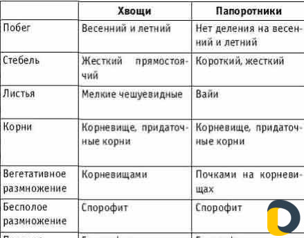 Репетитор подготовка к школе и репетитор по биолог