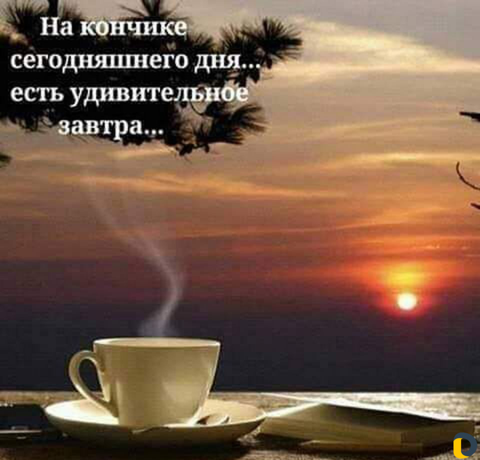 Репетитор(русский язык)