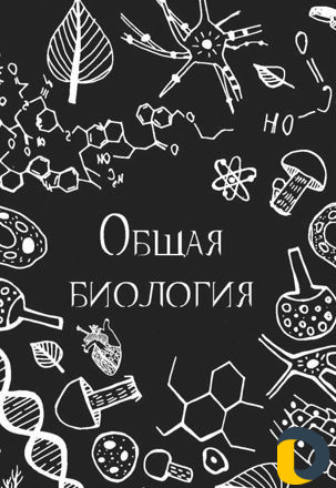 Репетитор