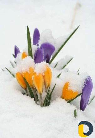 Репетиторство