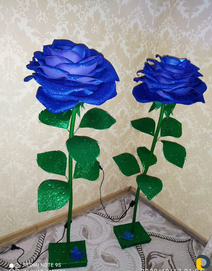 Роза цветы