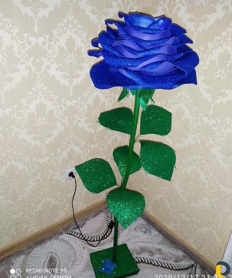Роза цветы