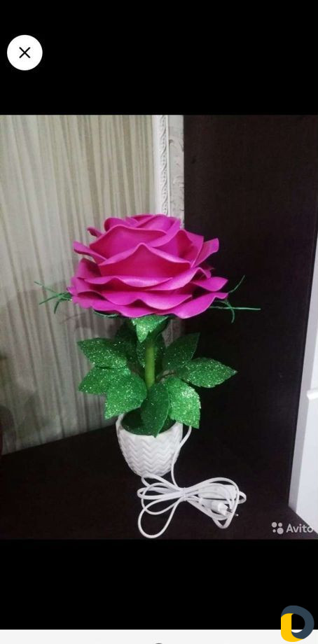 Роза цветы