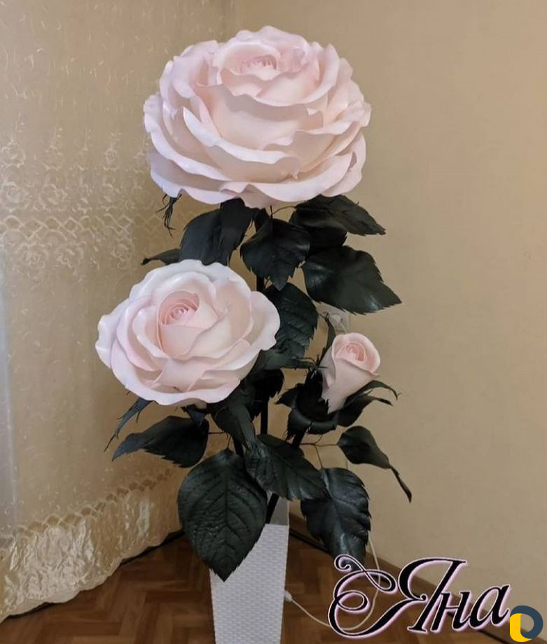 Роза цветы