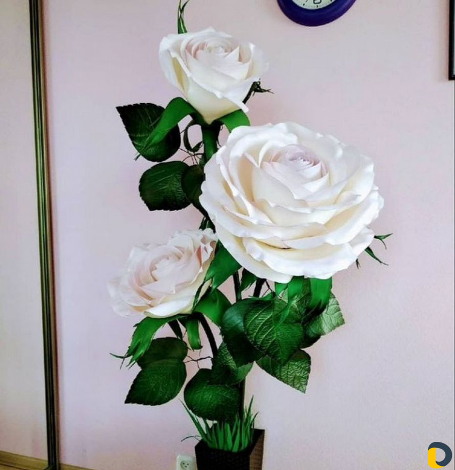 Роза цветы