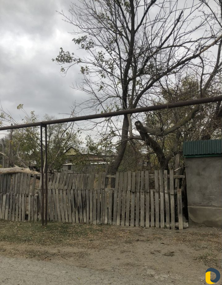 Рубка деревьев