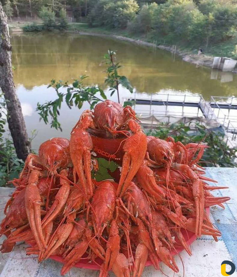 Рыбалка и отдых