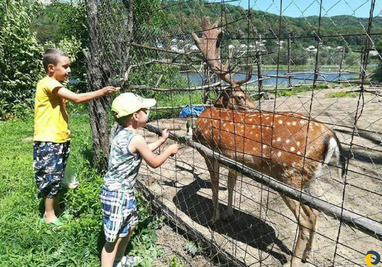 Рыбалка и отдых