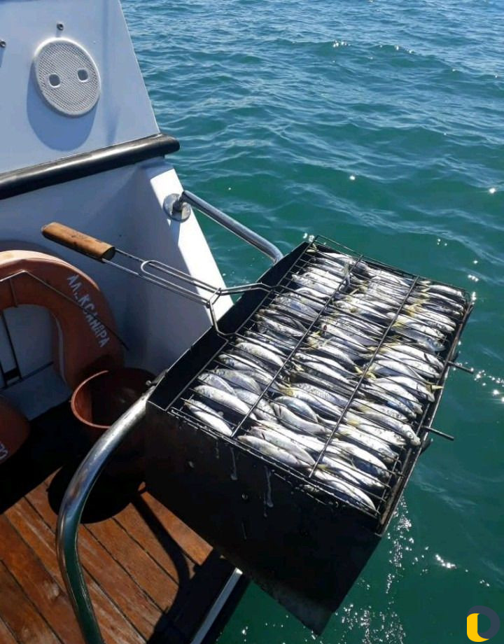 Рыбалка морская и аренда яхт