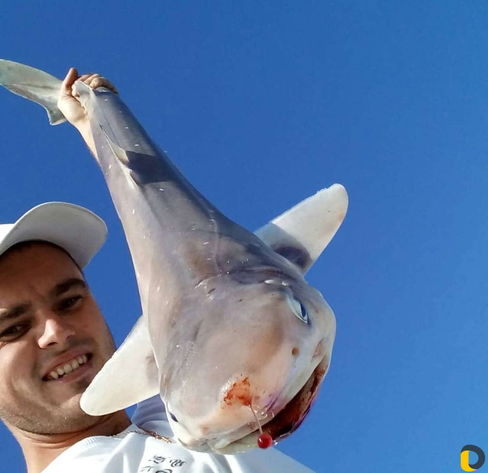 Рыбалка. Морские прогулки на катере