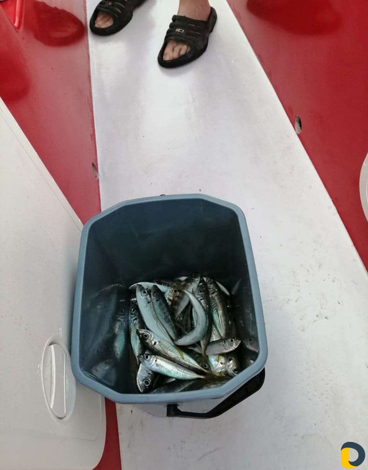 Рыбалка. Морские прогулки на катере