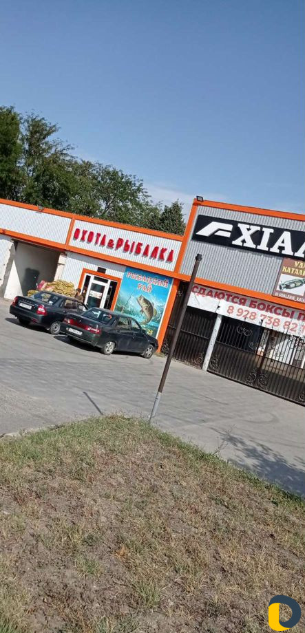 Рыбалка пикник