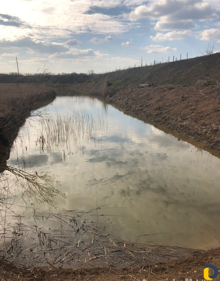 Рыбалка в частном пруду