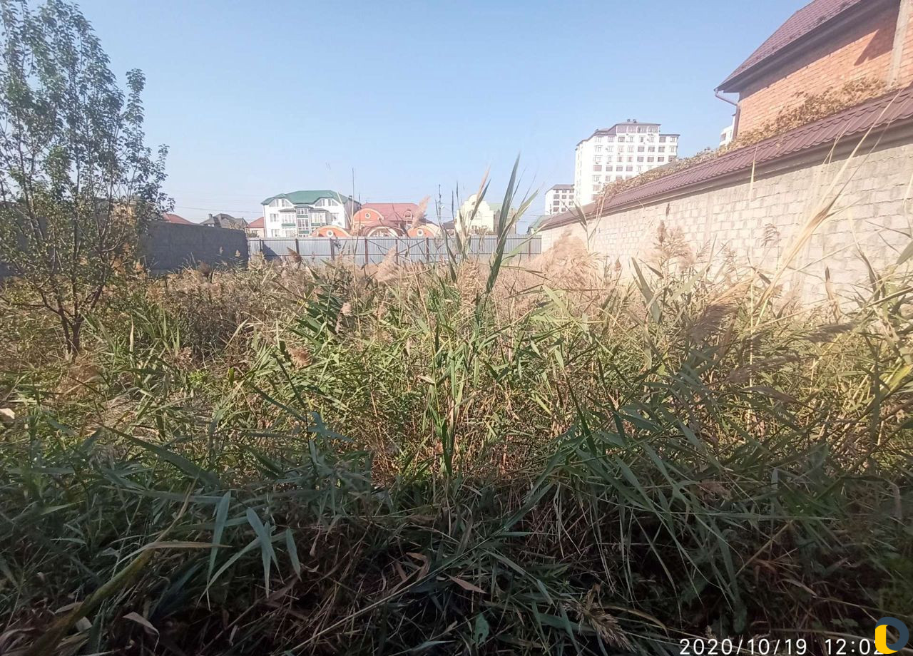 Сад, благоустройство