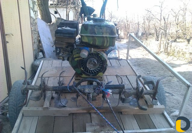 Сад блогоустройства