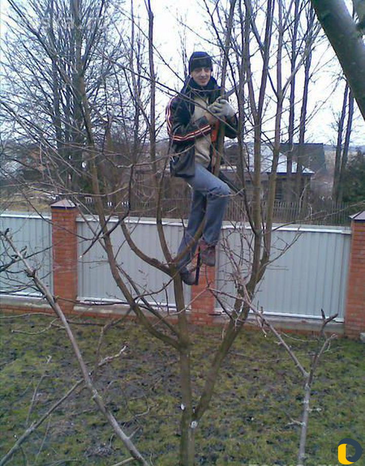 Сад и виноградник
