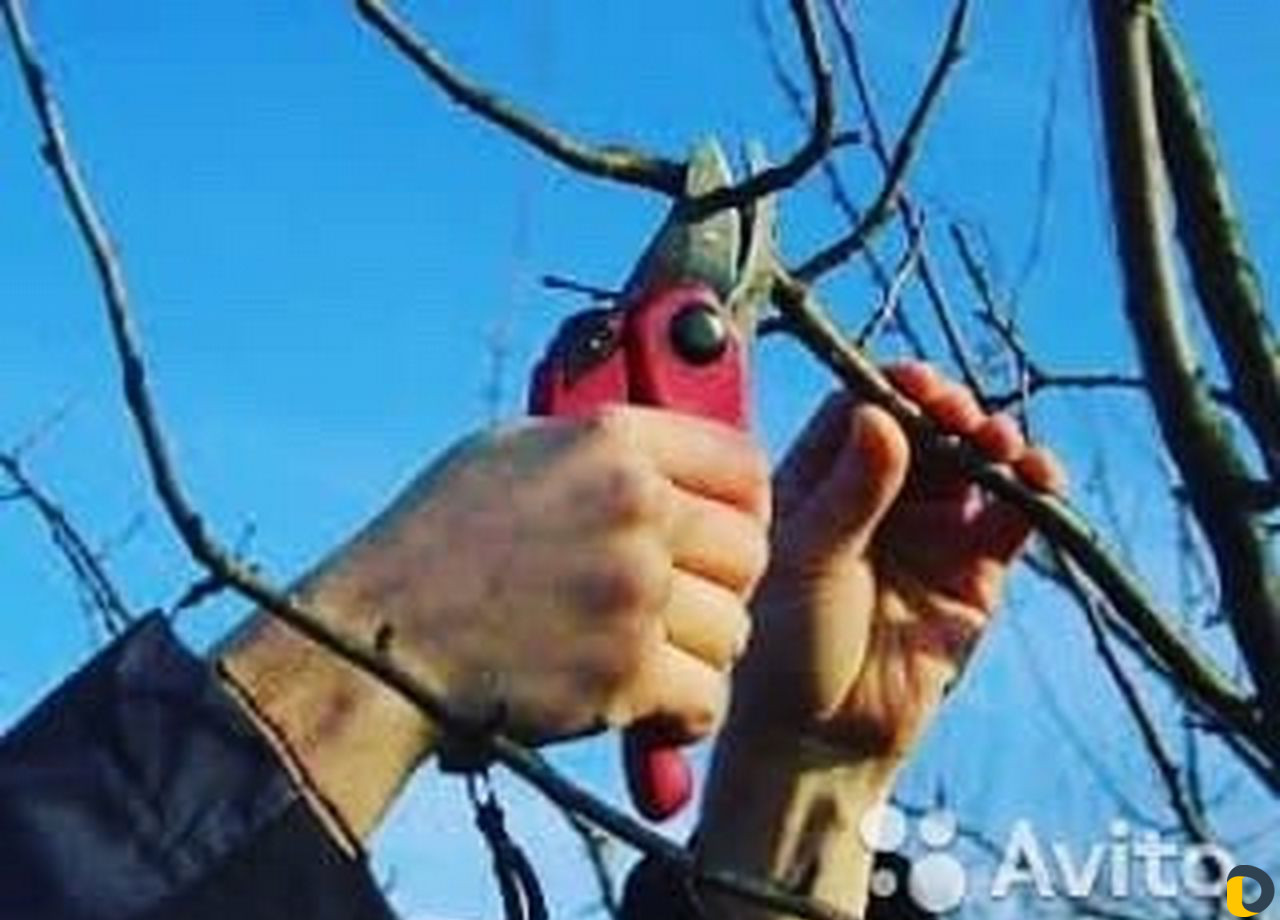 Садовые услуги