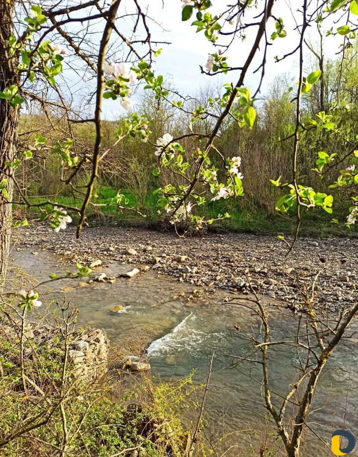 Сдаем беседки в лесу у реки