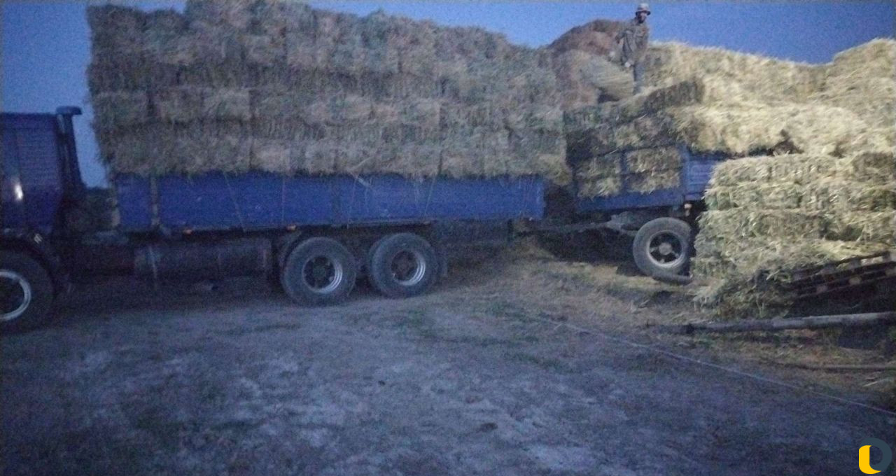 Сено салома по 120