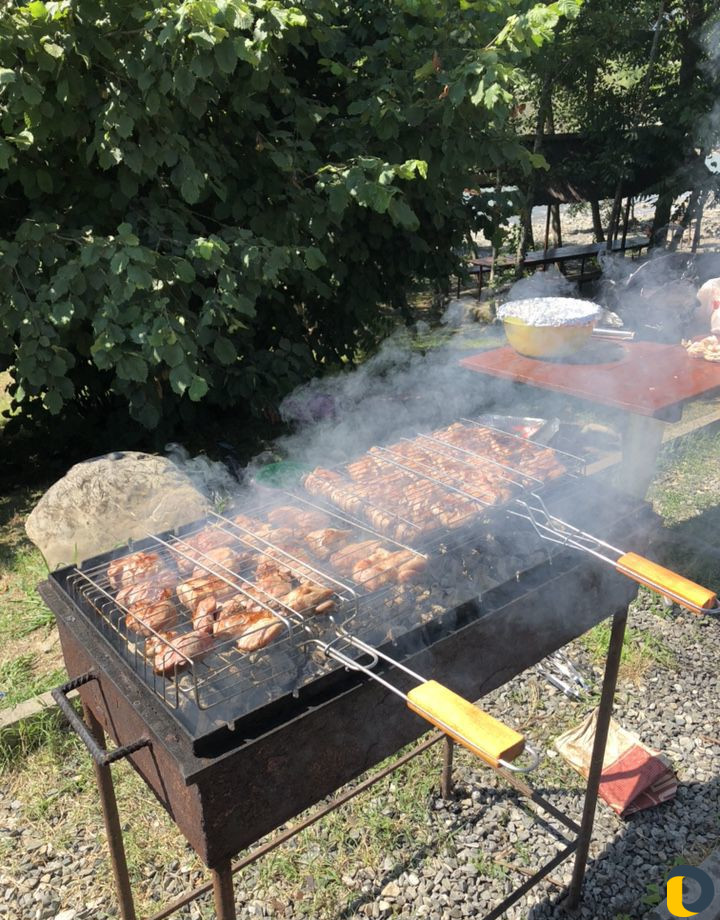 Шашлычник на дом