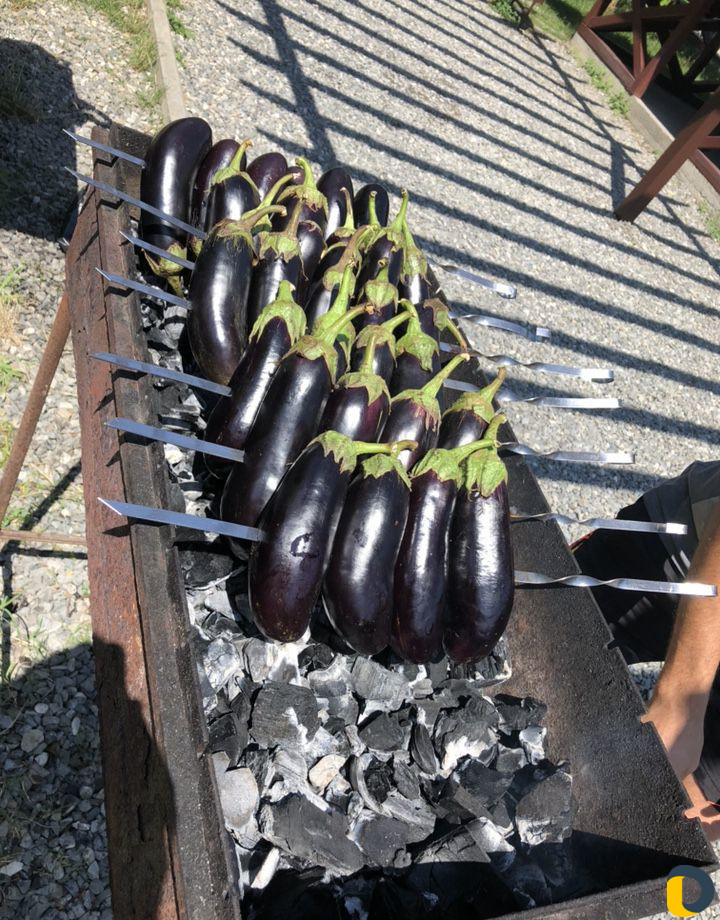 Шашлычник на дом