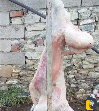 Шашлычник