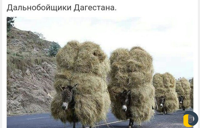 Щебень,пгс,камень; спецтехника