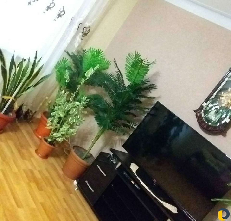 Шпаклевка