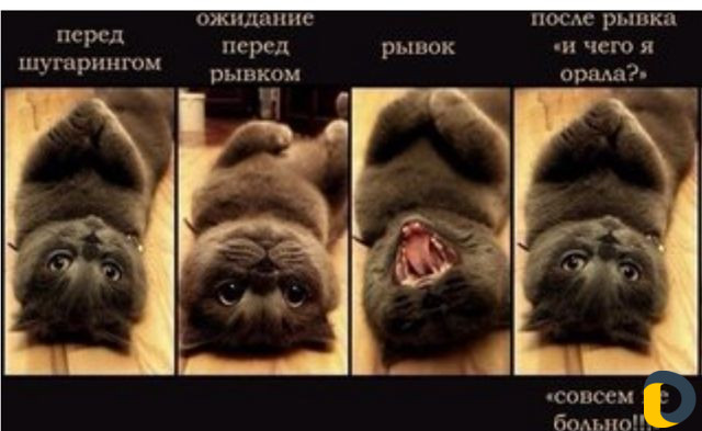 Шугаринг