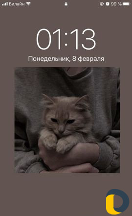 Сиделка,няня с проживанием