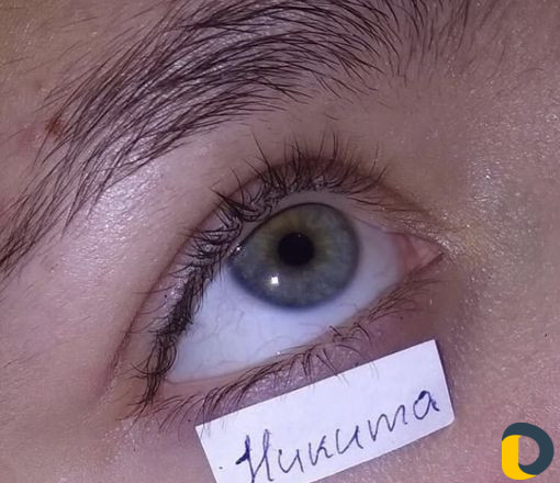 Сигны на заказ