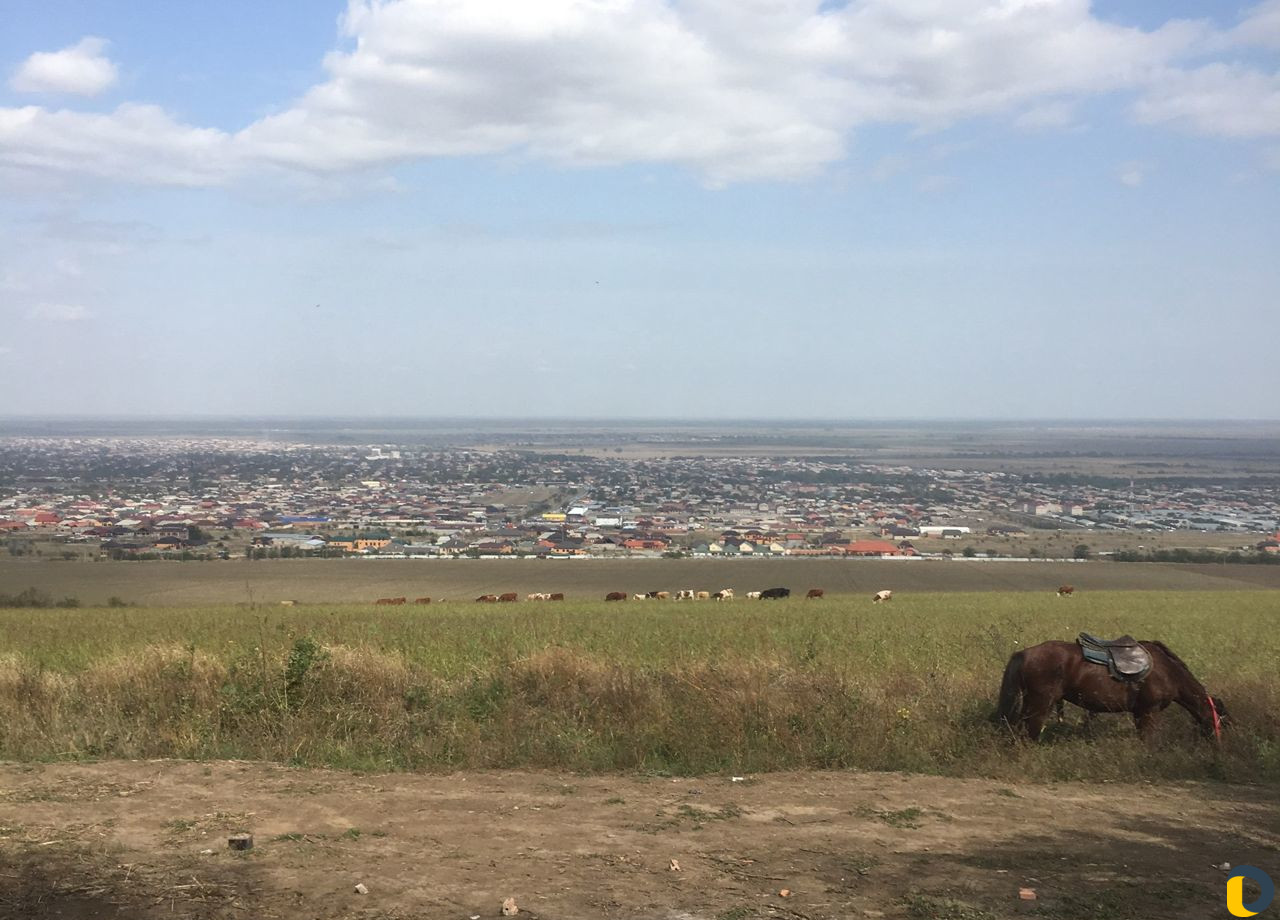 Скотник (пастух)