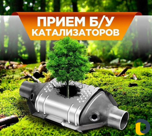 Скупаем катализатор