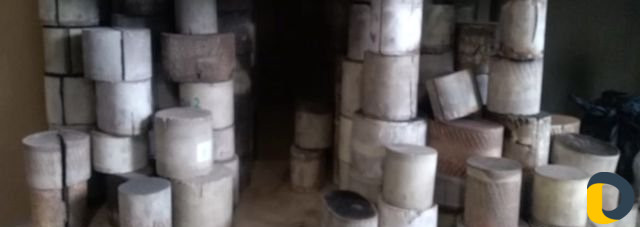 Скупка авто катализаторов