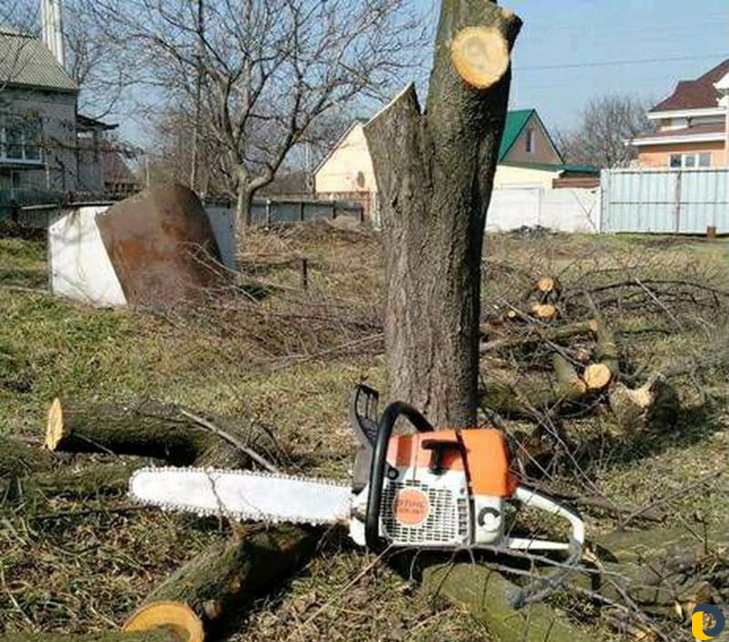 Снос зданий, домов, хоз построек, и т.д. Расчистка