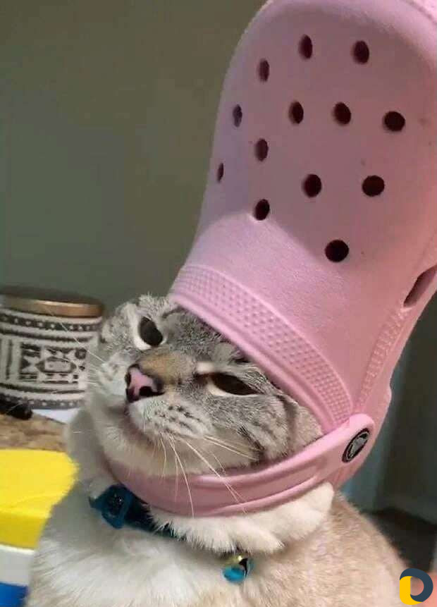 Создание презентаций
