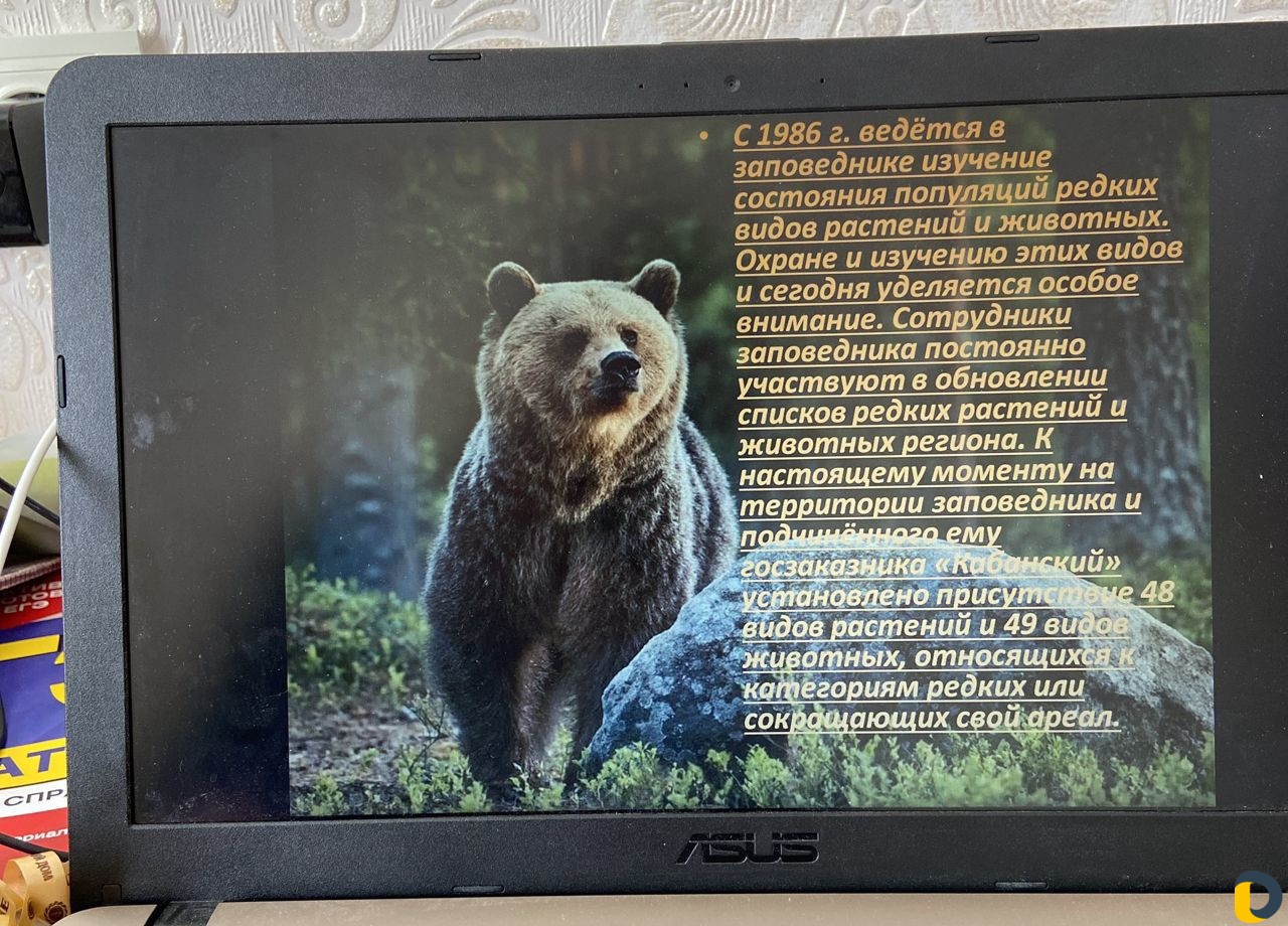 Создание презентаций в PowerPoint