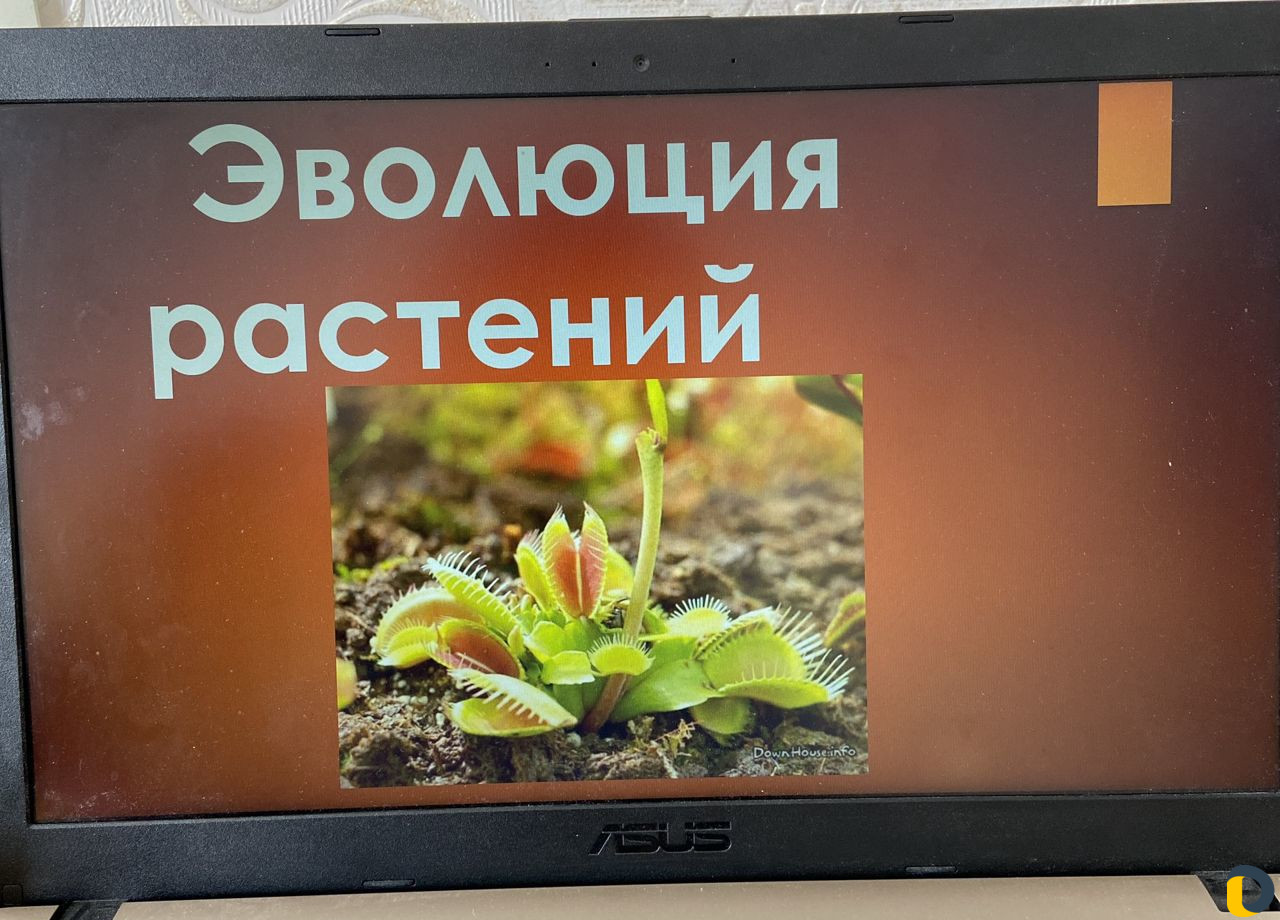 Создание презентаций в PowerPoint