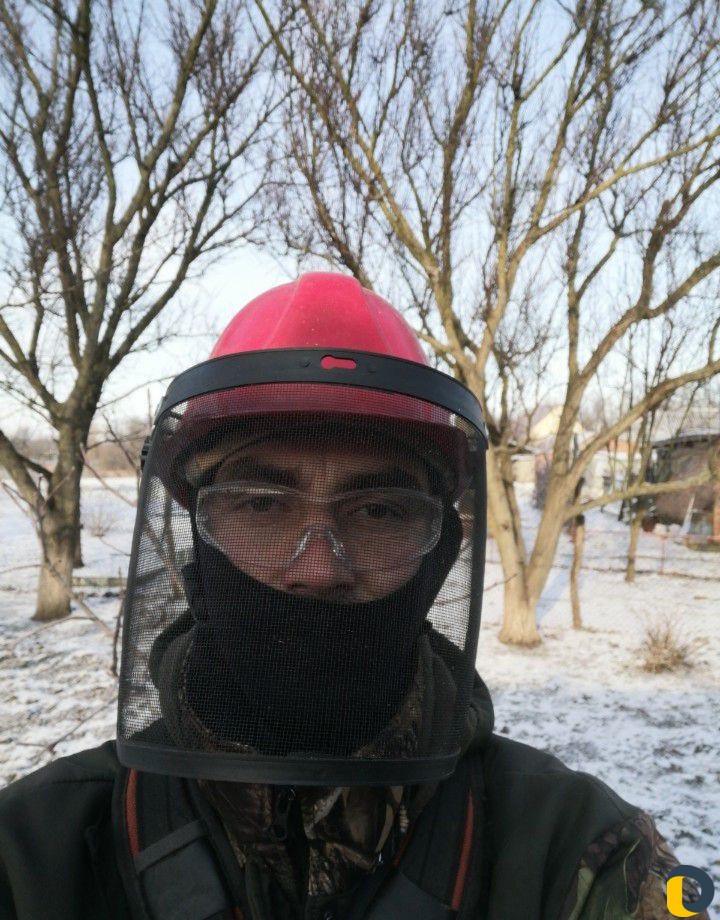 Спил деревьев любой сложности. Очистка участков