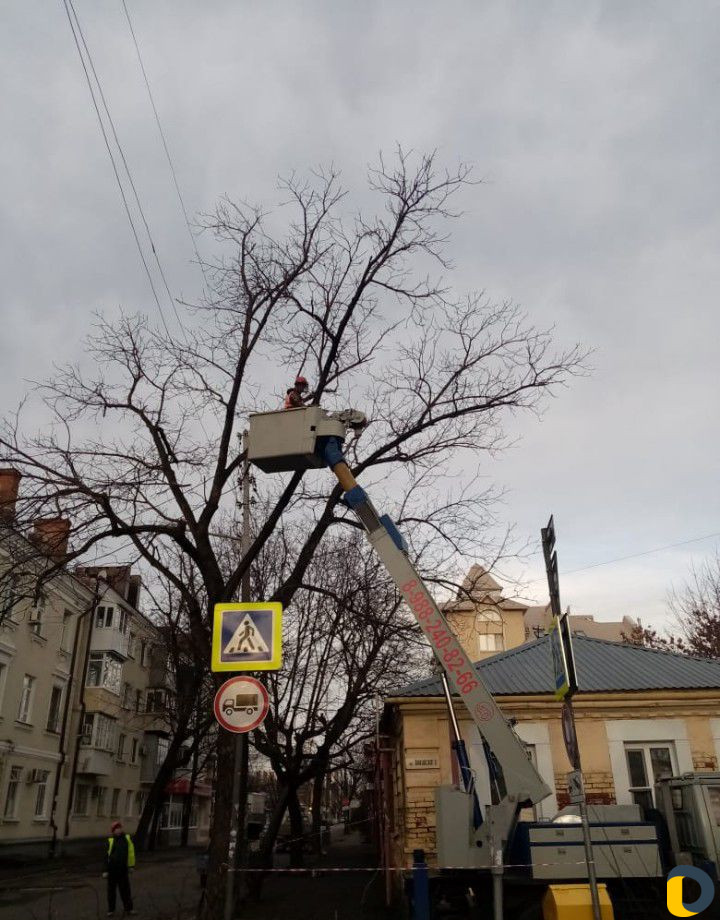 Спил деревьев любой сложности. Очистка участков