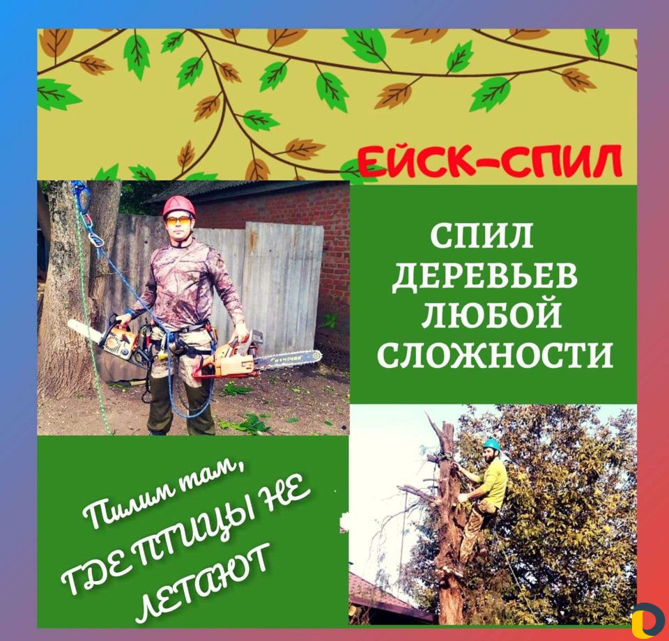 Спил деревьев любой сложности