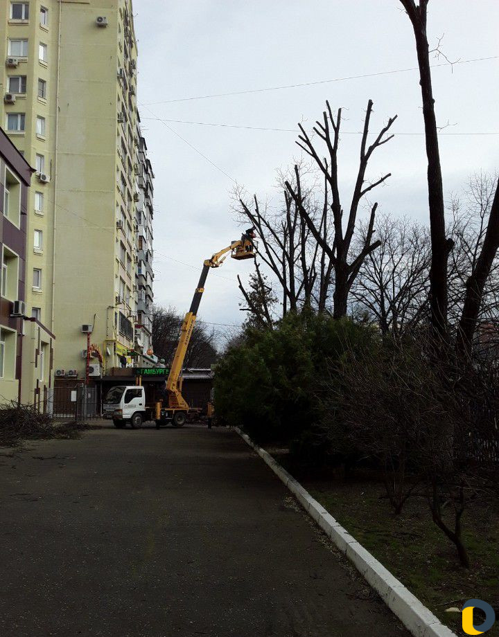 Спил деревьев любой сложности
