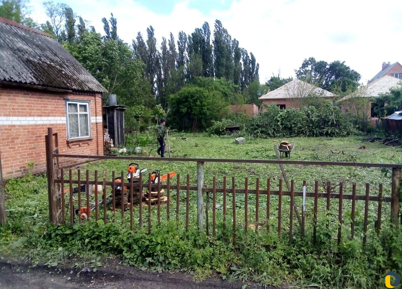 Спил деревьев любой сложности