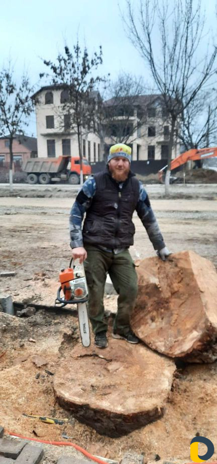 Спил деревьев, пилим деревья, пильщик, вальщик