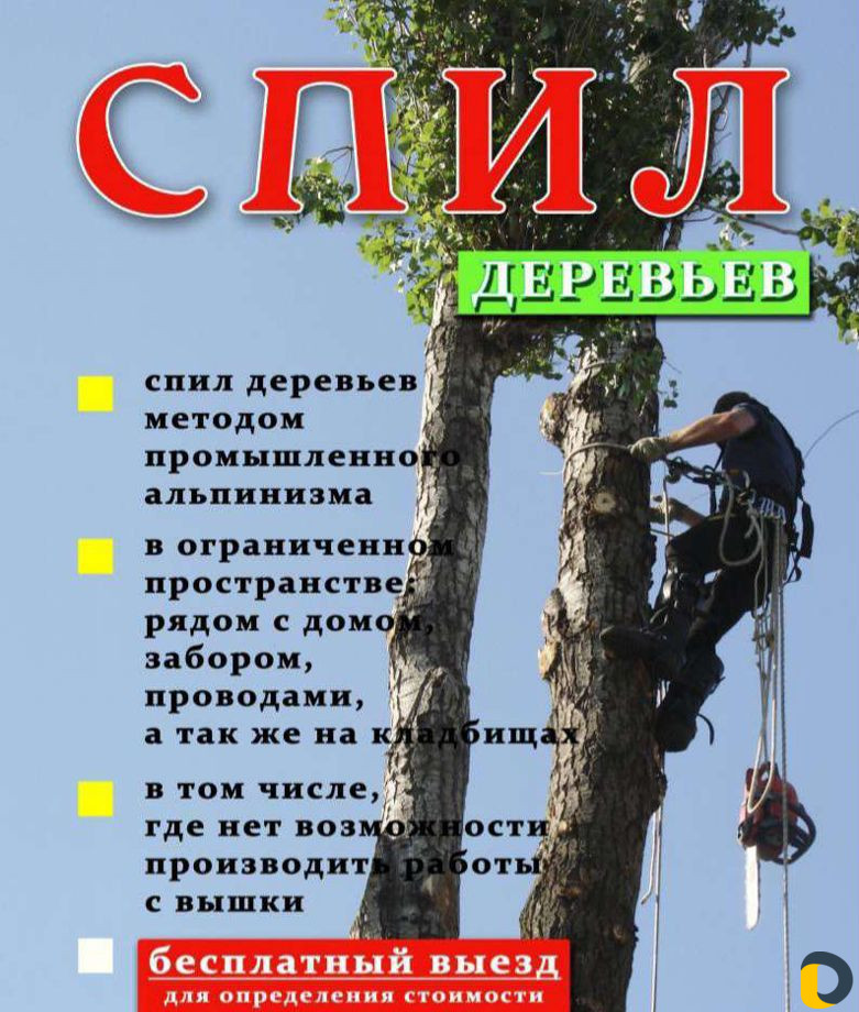 Спил деревьев, Покос травы, Чистка територии