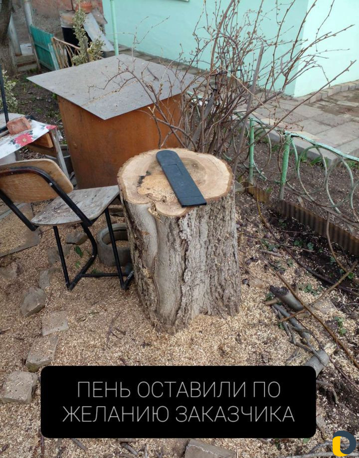 Спил деревьев, Покос травы, Чистка територии