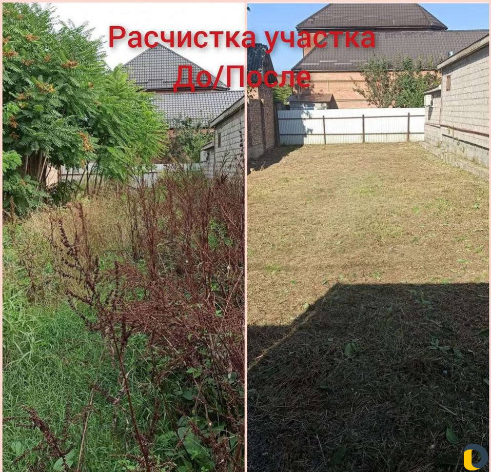 Спил деревьев/Расчистка участков